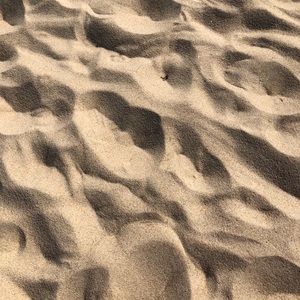 Meet your Posher, Tia